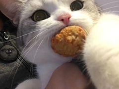 -魏家凉皮(博水商务大厦店)