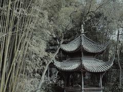 -马旺子酒楼