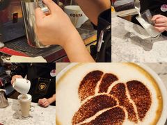 -COSTA COFFEE(哈尔滨凯德学府店)