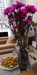 -绘甲社NACHO&DAI SALON