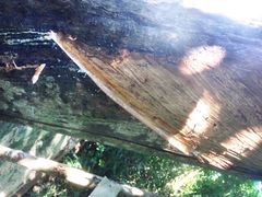 iphone_upload_pic-班赞海鲜市场