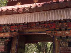 iphone_upload_pic-罗布林卡