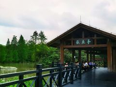 -海珠湖公园