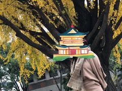 -景福宫