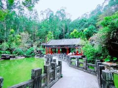 -深圳国际园林花卉博览园