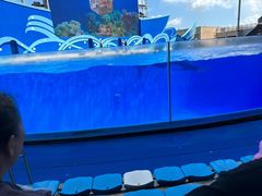 -上海海昌海洋公园