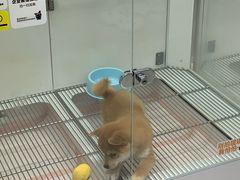 -龙湖重庆时代天街