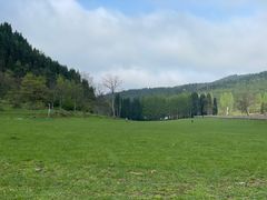 -武陵山森林公园