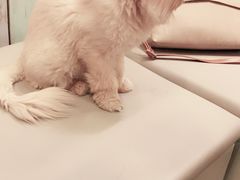 -小时光咖啡馆(开森度假森林店)