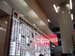 -中国人民解放军总医院(301医院)