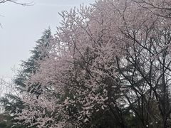 -城市运动公园(未央区)