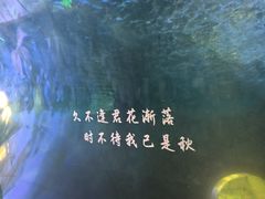 -常州海昌海洋探索馆