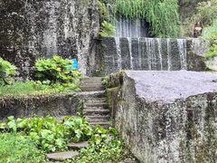 -千岛湖东南湖区