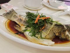 清蒸鲈鱼-清心鸡沙田乳鸽店·非遗传承(粤垦路店)