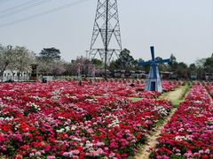 -盈香心动乐园