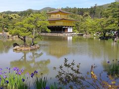 -豆政(金閣寺境内売店)
