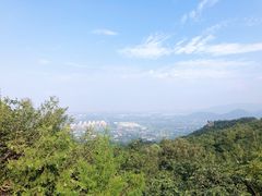 -阳台山自然风景区