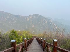 -大岭沟猕猴桃谷风景区