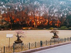 -申粤轩酒楼·三十年粤菜经典(丁香花园店)