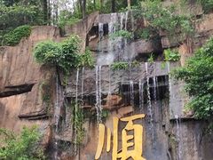 -三水森林公园