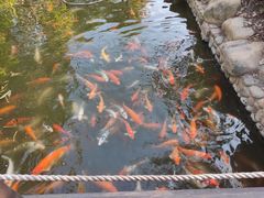 -厦门日月谷温泉渡假村