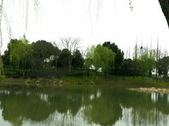 -尚贤河湿地