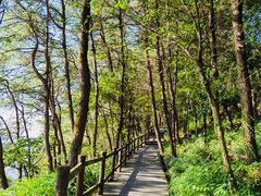 -铁山坪森林公园