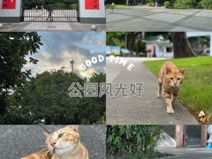 -晓港公园