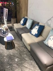 -MC皮肤管理中心