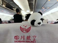 -熊猫屋(宽窄巷子景区店)