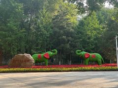 -长白岛森林公园