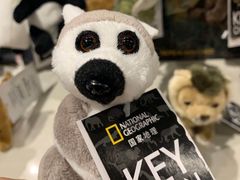 -珠海横琴国家地理探险家中心(创新方)