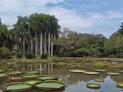 -中国科学院西双版纳热带植物园