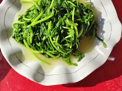 -明珠湖天鹅苑·农家菜馆