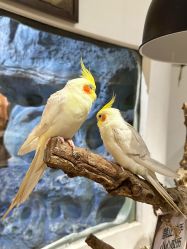 -Zoolung Zoolung动物主题公园(海信广场店)