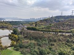 -张坝桂圆林公园