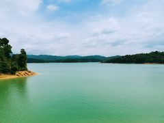 -广州市流溪河国家森林公园