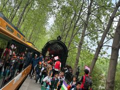 -合肥滨湖国家森林公园