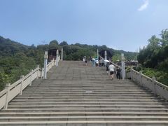 -铁山坪森林公园