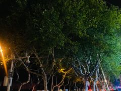 -大唐盲人按摩中心(黄山路店)