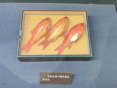 -上海公安博物馆