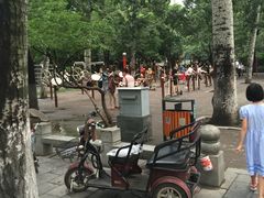 健身区-莲湖公园