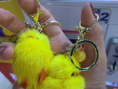 -汤姆熊欢乐世界(罗斯福店)