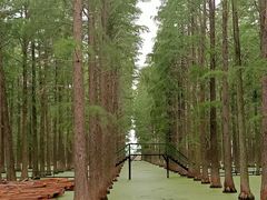 -渌洋湖湿地公园