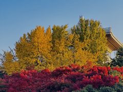 -雨花台烈士纪念馆