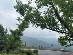 -江南天池