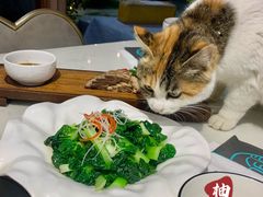 -后海16号·北京私房菜