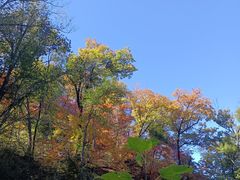 -天女山森林公园
