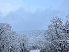 -湖州龙王山景区
