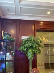 -南京医科大学友谊整形外科医院